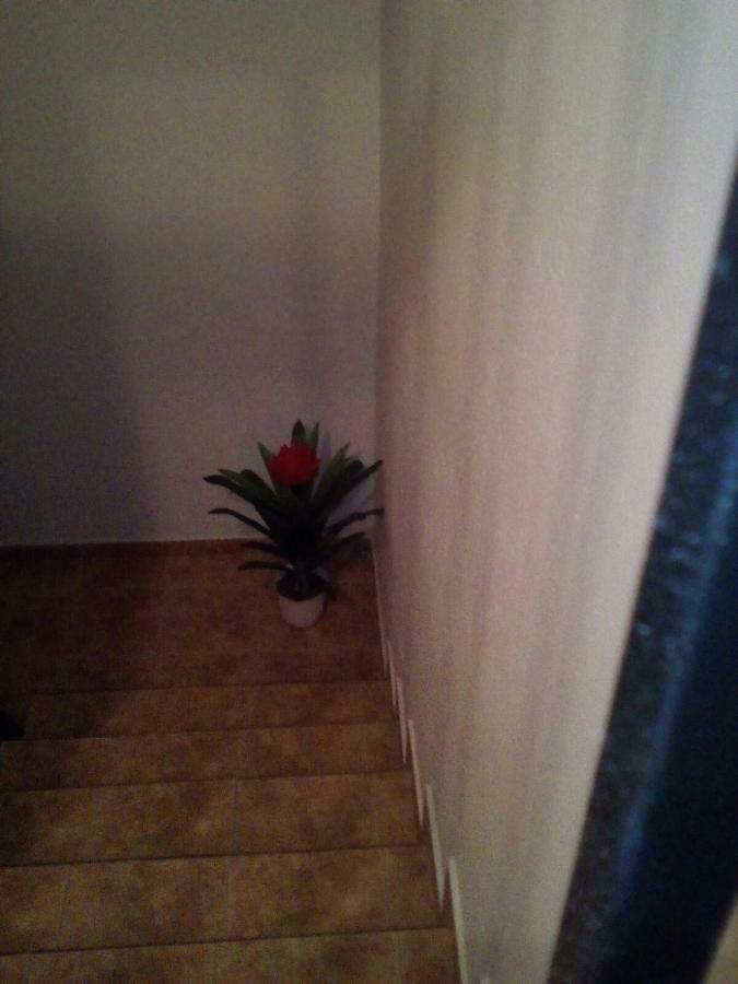 Apartamento Veronica Пуерто де Мохан Екстериор снимка